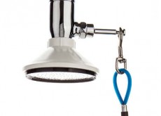 מקלחת חרום / חוף